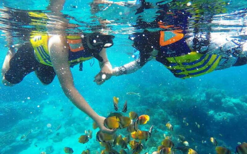 Bali: Snorkeling Tour with USAT Liberty Shipwreck - What’s Included and What’s Not