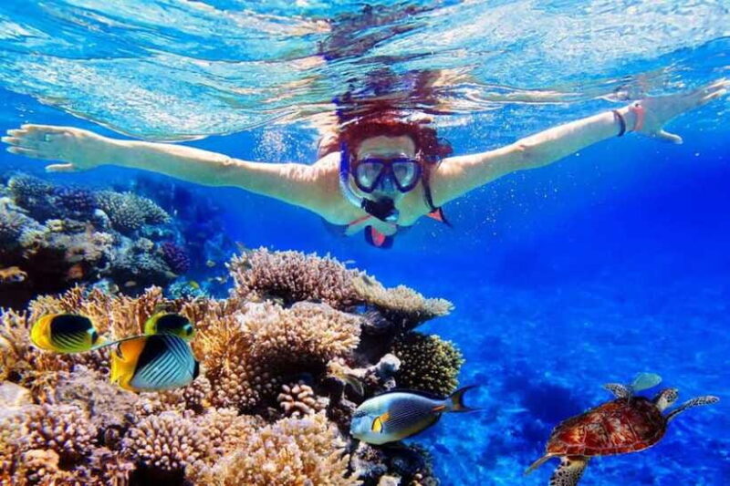 Bali: Snorkeling Tour with USAT Liberty Shipwreck - Practical Tips for the Best Experience