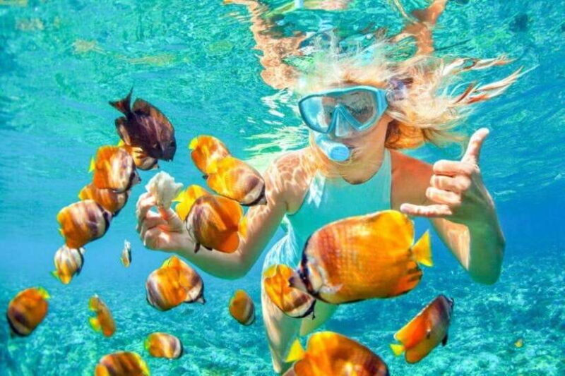 Bali: Snorkling Blue Lagoon Beach include Lunch & Transport - What Do Real Travelers Say?