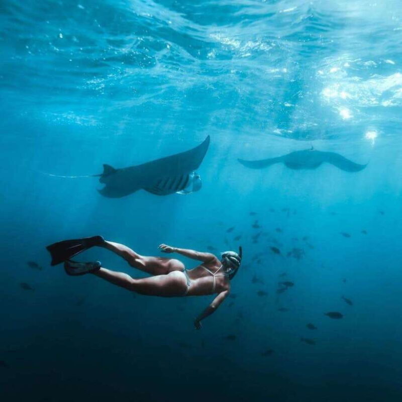 Bali southeast : Nusa Penida Full-Day Trip with Snorkeling - Final Thoughts