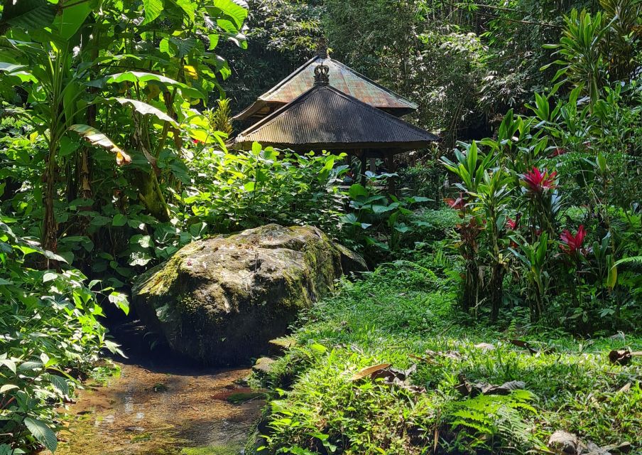 Bali Spiritual: Blessing Ceremony, Pristine Nature, Transfer - Balinese Purification Ceremony