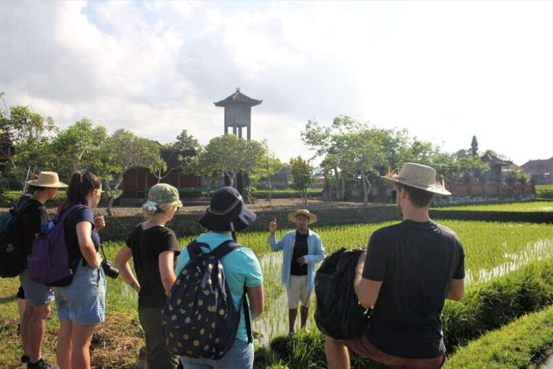 Bali: Subak Secrets Guided Tour with Farming Experience - Who Is This Tour Best For?