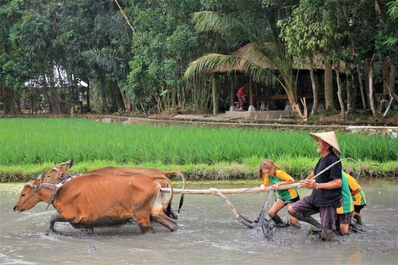 Bali: Subak Secrets Guided Tour with Farming Experience - FAQ: Practical Questions Answered