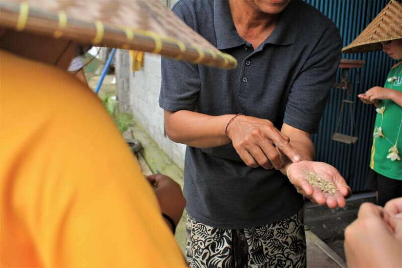 Bali: Subak Secrets Guided Tour with Farming Experience - Final Thoughts: Is This Tour Worth It?