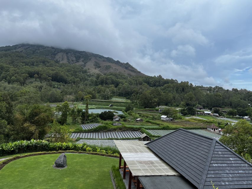 Bali: Sunrise Hike at Mount Batur With Bali Swing - Local Coffee Plantation Visit