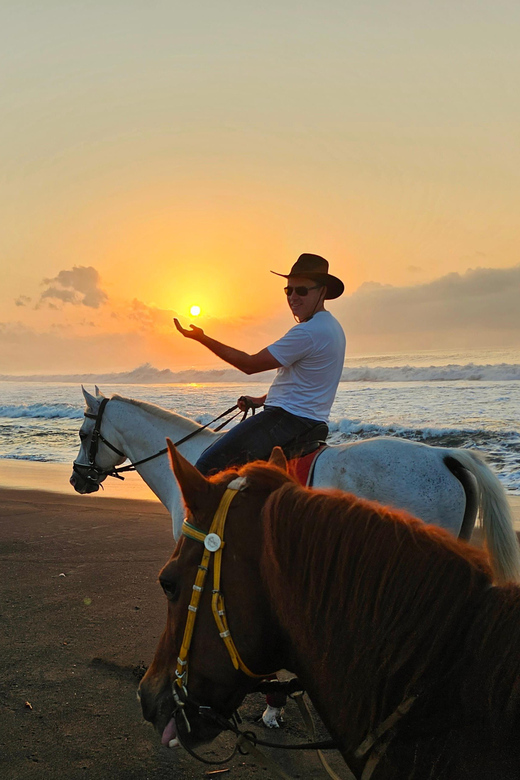 Bali Sunrise Horse Riding - Booking Process