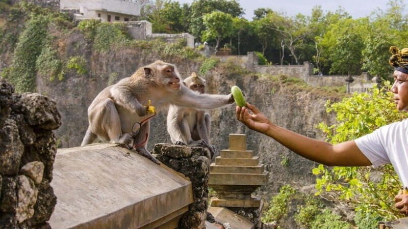 Bali: Sunset Uluwatu Temple & Kecak Fire Dance Private Tour - The Sum Up: Is This Tour Right for You?