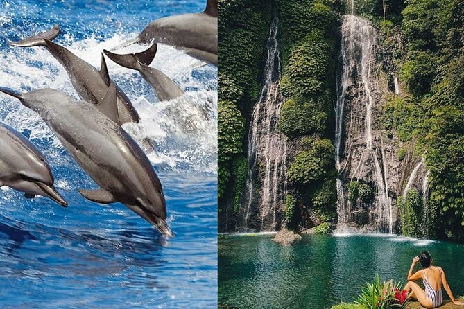 Bali Swim With Dolphin & Watching Sunrise, Banyumala Waterfall - Key Points
