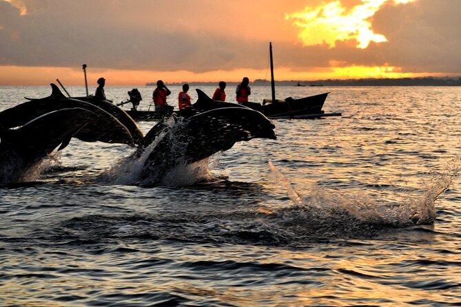 Bali Swim With Dolphin & Watching Sunrise, Banyumala Waterfall - Dolphin Watching Experience
