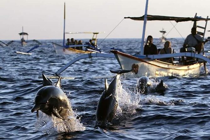 Bali Swim With Dolphin & Watching Sunrise, Banyumala Waterfall - Exploring Banyumala Waterfall