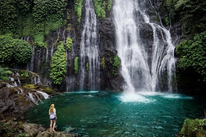 Bali Swim With Dolphin & Watching Sunrise, Banyumala Waterfall - Inclusions and Amenities