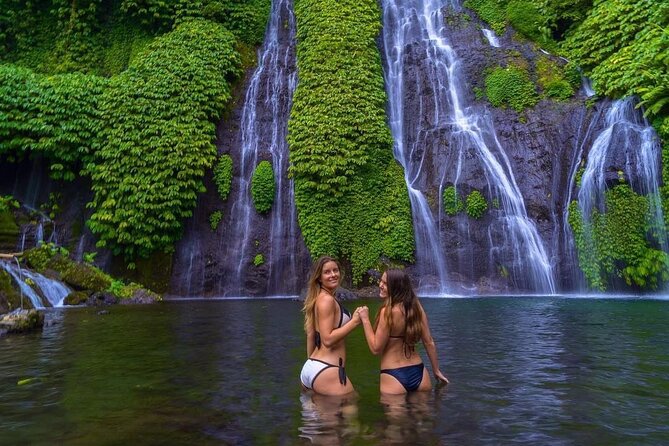 Bali Swim With Dolphin & Watching Sunrise, Banyumala Waterfall - Pricing and Reviews