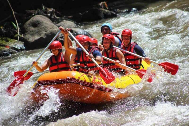 Bali: Swing and Rafting Combo Experience (Hotel Transfer) - In The Sum Up