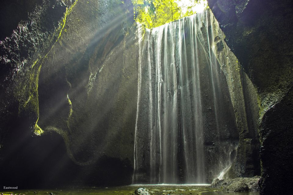 Bali: Swing With Falls, Rice Terrace, & Monkey Forest Option - Key Points