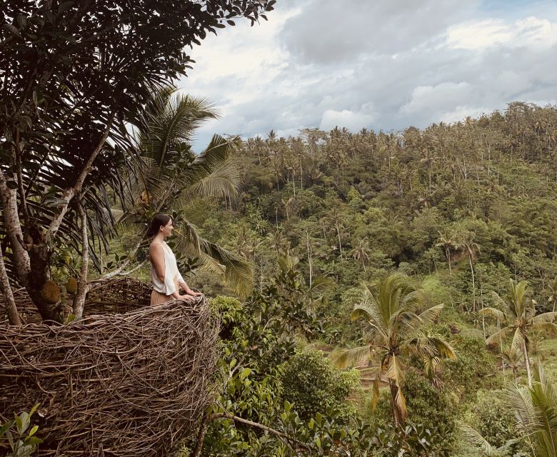 Bali: Swing With Falls, Rice Terrace, & Monkey Forest Option - Ubud Monkey Forest
