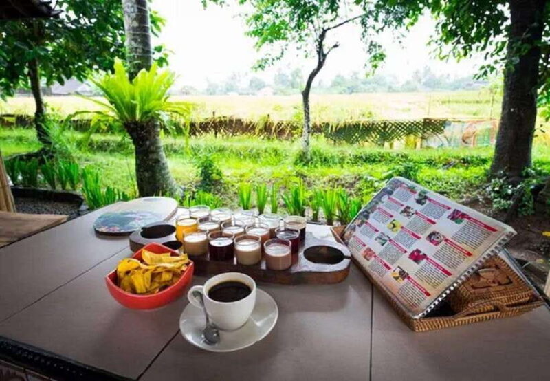 Bali: Taman Ayun, Jatiluwih, Ulun Danu, and Monkey Forest - What to Expect from the Tour