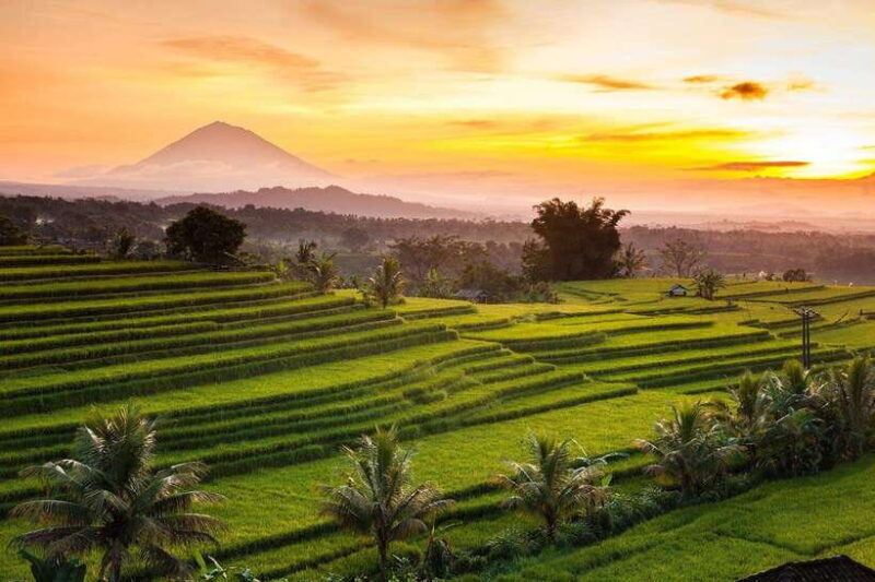 Bali: Taman Ayun, Jatiluwih, Ulun Danu, and Monkey Forest - Final Thoughts: Is This Tour Right for You?