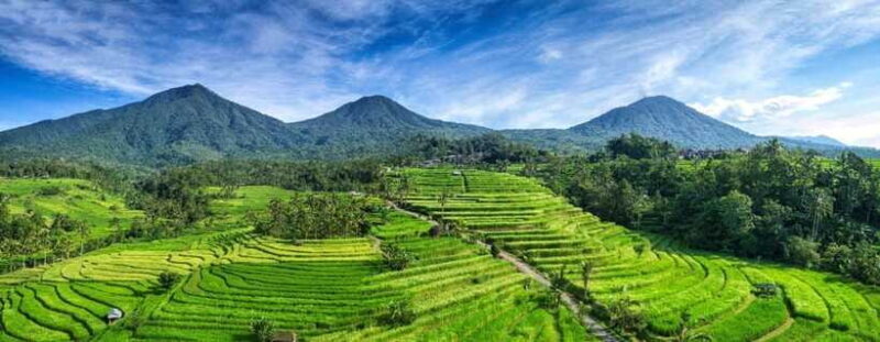 Bali: Taman Ayun, Jatiluwih, Ulun Danu, and Monkey Forest - FAQs