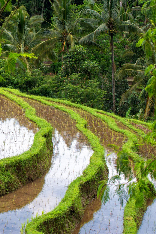 Bali: Tanah Lot, Jatiluwih Terrace, & Ulundanu Beratan Tour - Good To Know