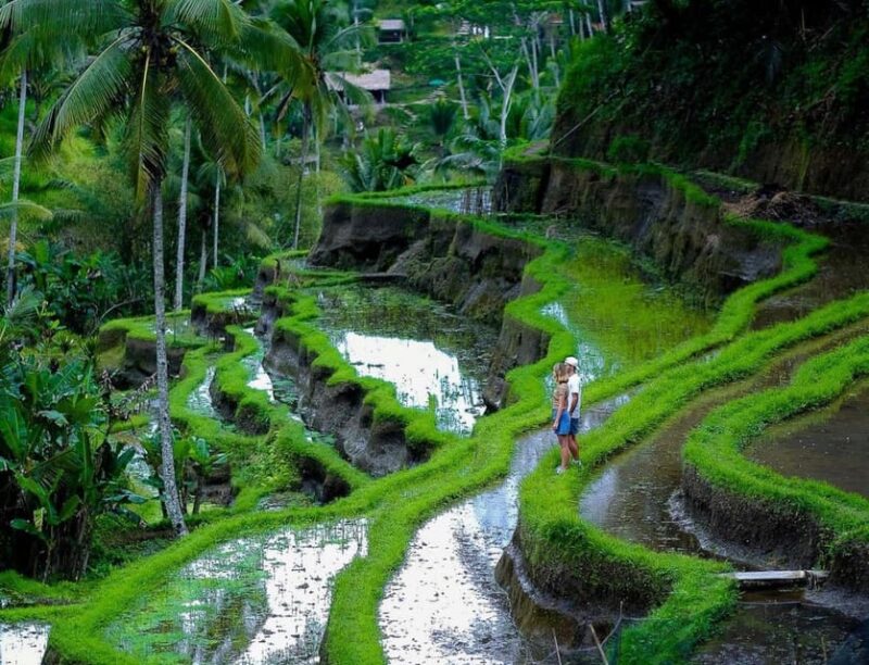 Bali: Tanah Lot, Jatiluwih Terrace, & Ulundanu Beratan Tour - Natural Beauty