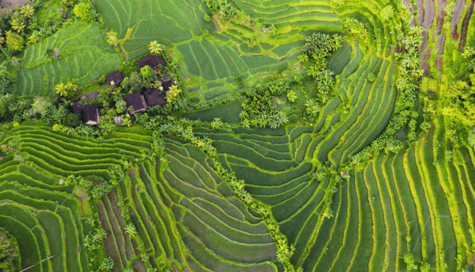 Bali: Tanah Lot, Jatiluwih Terrace, & Ulundanu Beratan Tour - Optional Add-ons