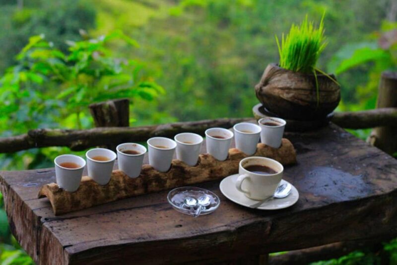 Bali: Tanah Lot Temple, Jatiluwih, Coffee, Taman Ayun Temple - Jatiluwih Rice Terraces