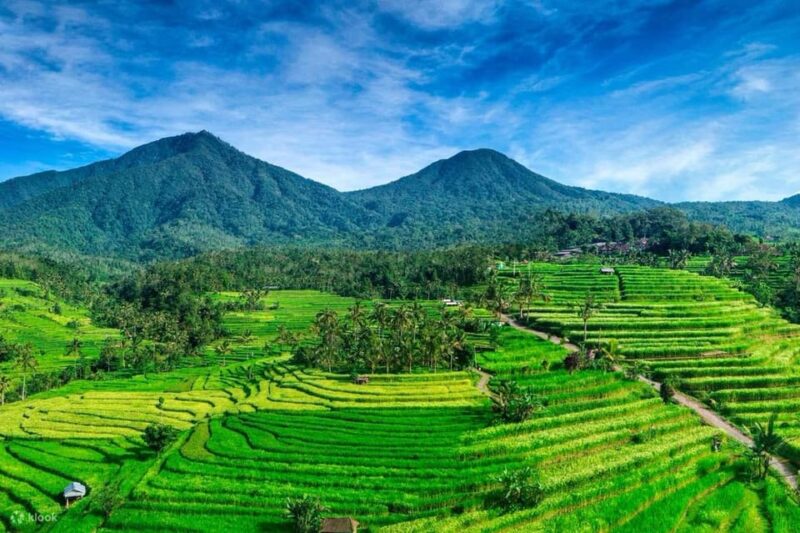 Bali: Tanah Lot Temple, Jatiluwih, Coffee, Taman Ayun Temple - Coffee Plantations in Bedugul