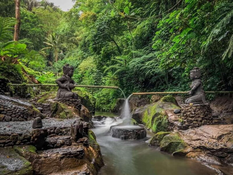 Bali: Taro Village and Holy Spring Water Temple Tour - The Significance of the Hindu Prayer Process