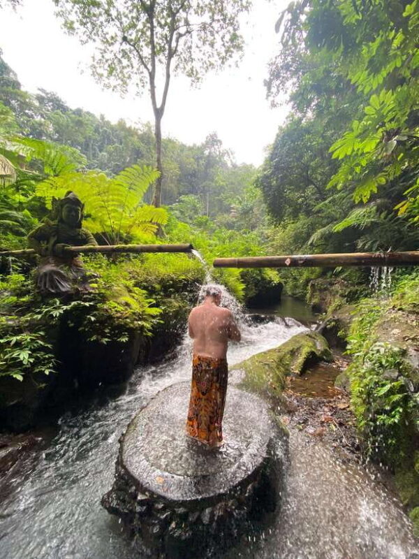 Bali: Taro Village and Holy Spring Water Temple Tour - Why this tour could be a perfect fit