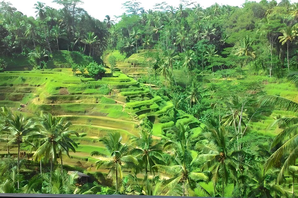 Bali: Temple, Rice Terrace, Volcano, Waterfall - All Inclusive - Key Points