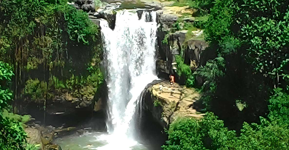 Bali: Temple, Rice Terrace, Volcano, Waterfall - All Inclusive - Pickup and Drop-off