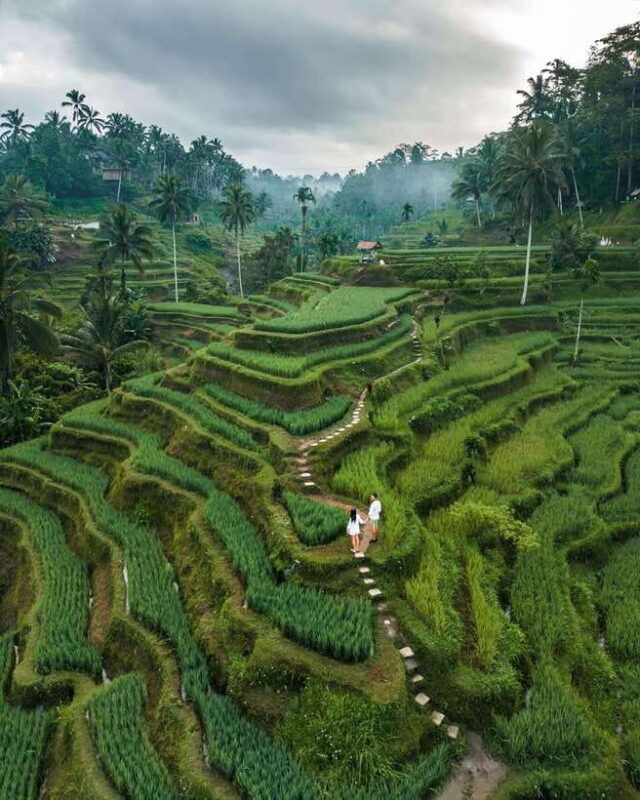 Bali: Temples, waterfall, and Rice Terrace Guided Tour - Final Thoughts