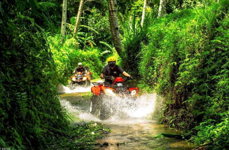 Bali: Thrilling Ultimate ATV Quad Bike Adventure - An In-Depth Look at the Bali ATV Adventure