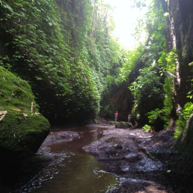 Bali: Tibumana, Tukad Cepung, Kanto Lampo, & Tegenungan Tour - Key Points