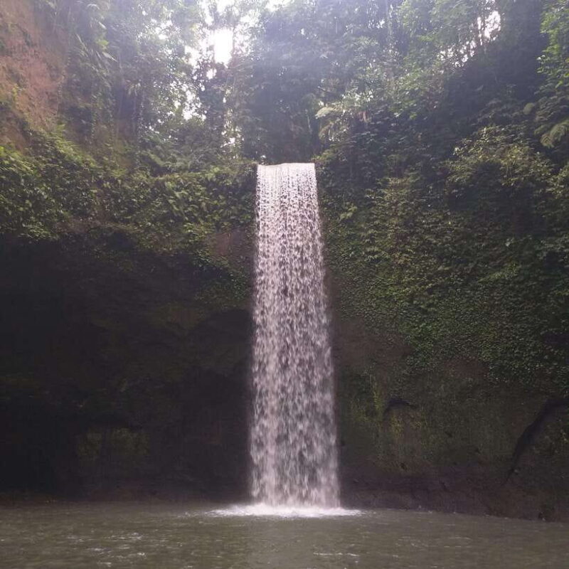 Bali: Tibumana, Tukad Cepung, Kanto Lampo, & Tegenungan Tour - Final Thoughts