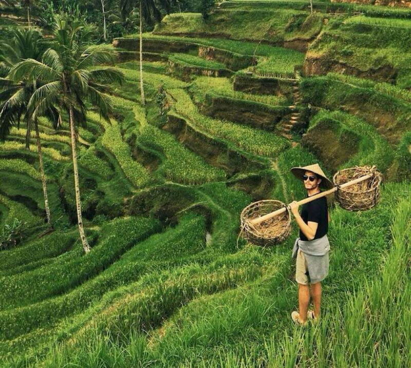 Bali: Tirta empul Temple, Rice terrace and Waterfall - An In-Depth Look at the Tour Itinerary