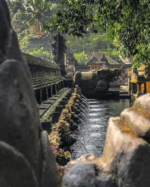 Bali: Tirta empul Temple, Rice terrace and Waterfall - Who Should Consider This Tour?
