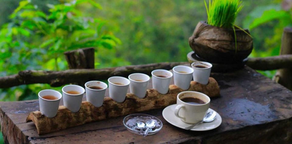 Bali: Tirta Empul, Tibumana Waterfall & Penglipuran Village - Penglipuran Village Discovery