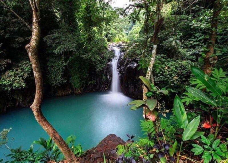 Bali: Top Highlights Private Full-Day Tour from Hotel - Introduction