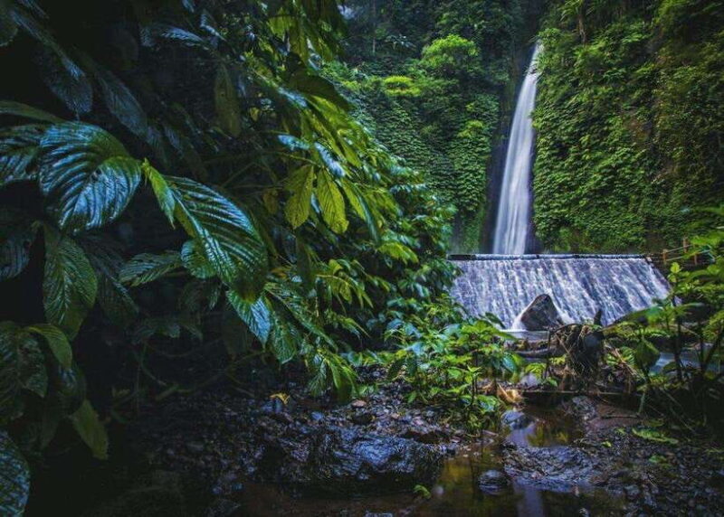 Bali: Top Highlights Private Full-Day Tour from Hotel - Why the Tour Works Well