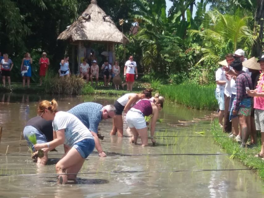 Bali: Traditional Village Life Tour - Important Information