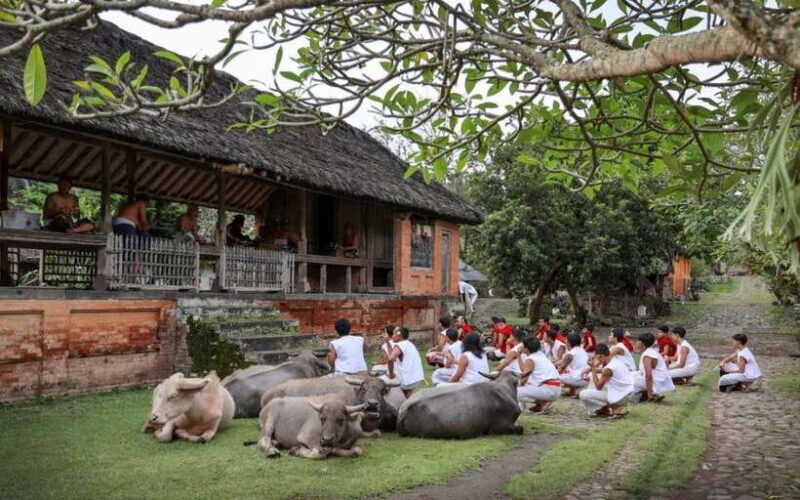 Bali: Traditional Villages, Salt Farm & Tirta Gangga Tour - Key Points