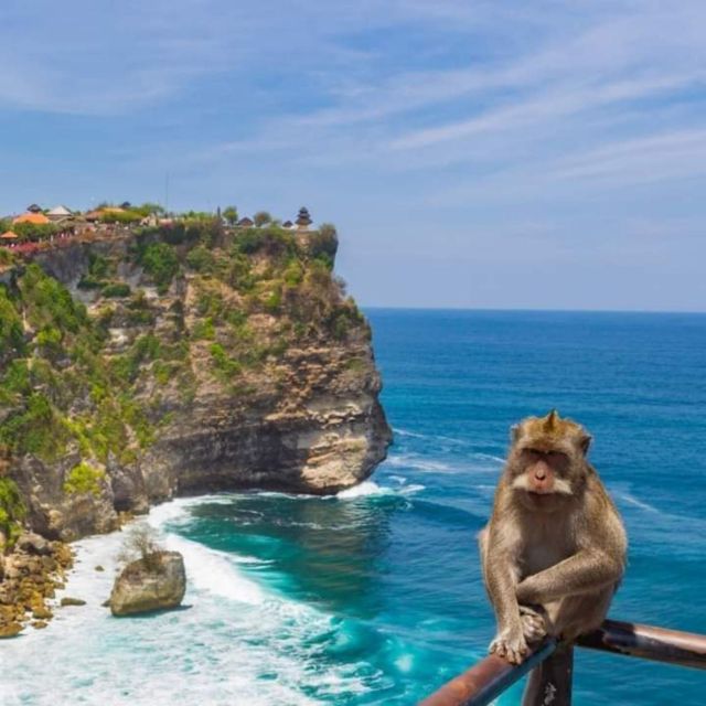 Bali Transfer : Welcome Pickup Private Service - Inclusions of the Service