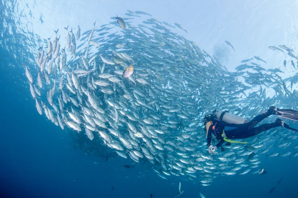 Bali: Tulamben Bay and the USAT Liberty Wreck Dive - Visibility and Night Diving Opportunities