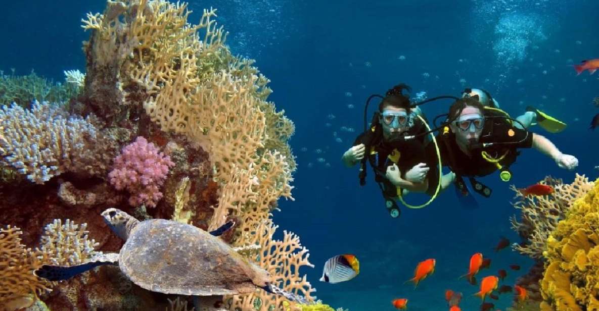Bali: Tulamben Diving USAT Liberty Full Day With Transfer - Requirements and Restrictions