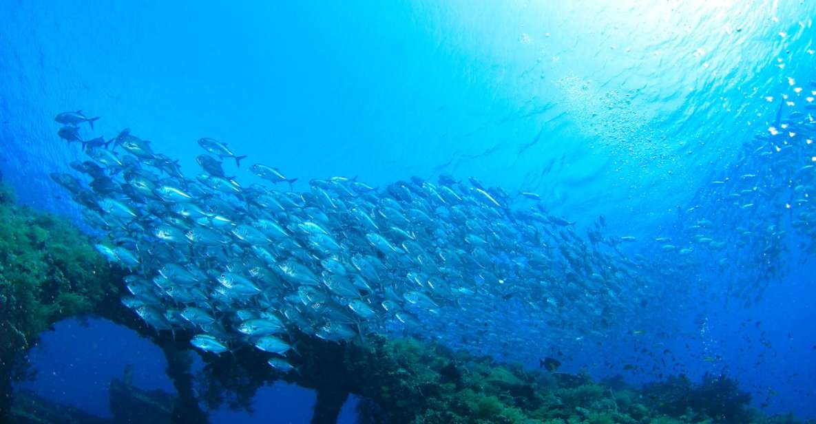 Bali: Tulamben USAT Liberty Wreck Scuba Diving - Inclusions in the Diving Package