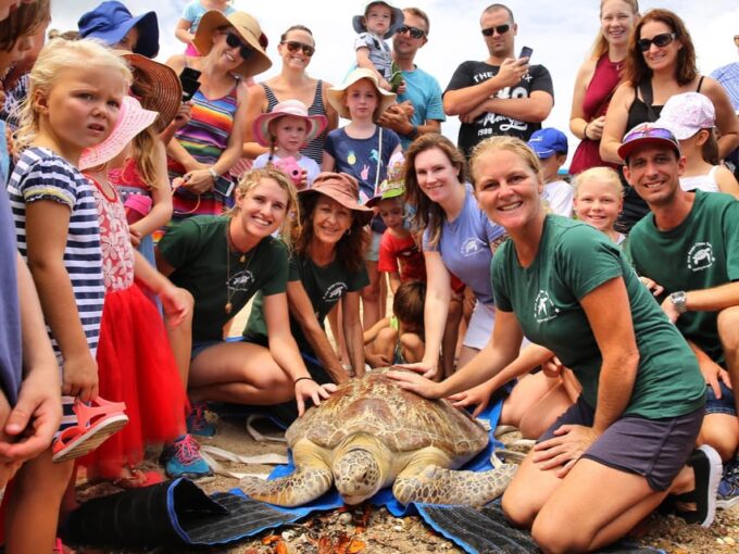 Bali: Turtle Conservation and Education Tour & Local Market - Important Information