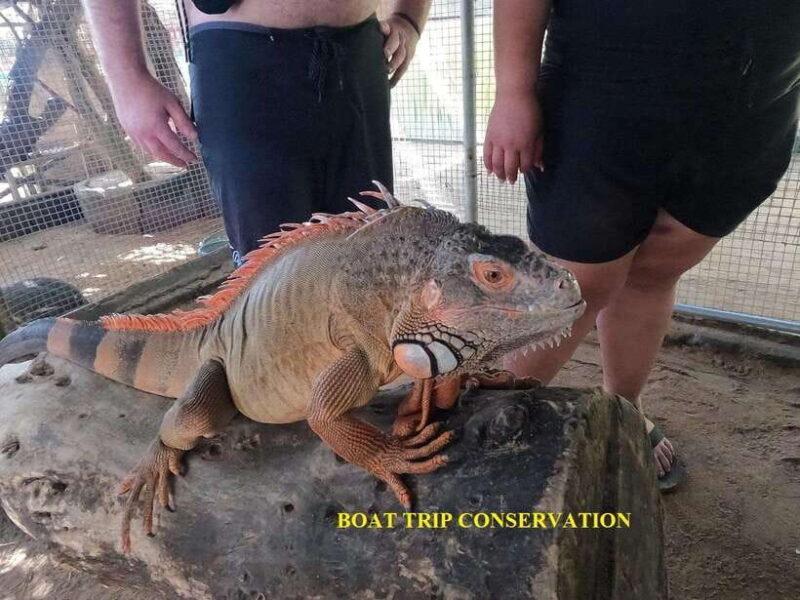 Bali : Turtle Conservation Center Tour option Release Turtle - The Value for Travelers