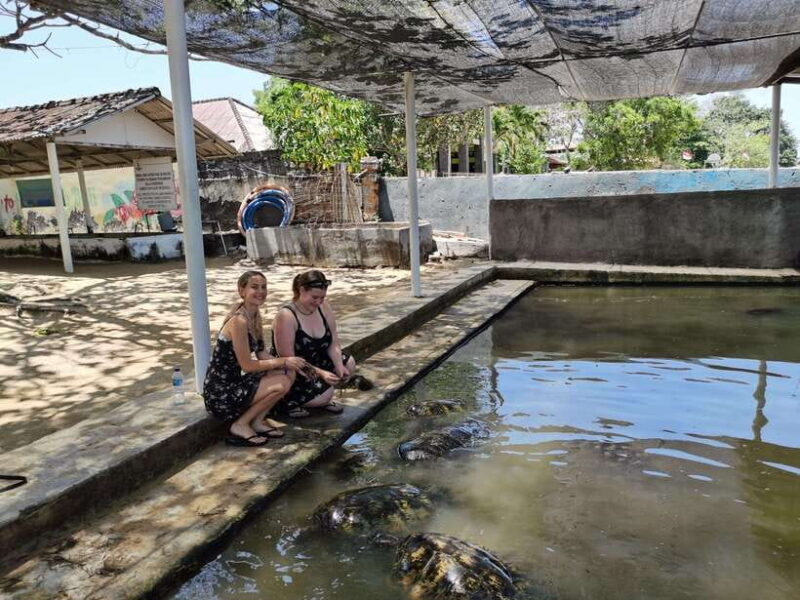 Bali : Turtle Conservation Center Tour option Release Turtle - FAQs