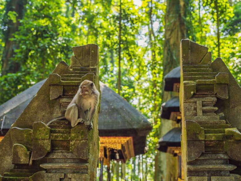 Bali: Ubud Adventure, ATV, Monkey Forest& Waterfall Tour - Key Points
